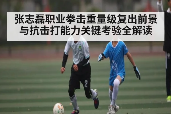 张志磊职业拳击重量级复出前景与抗击打能力关键考验全解读